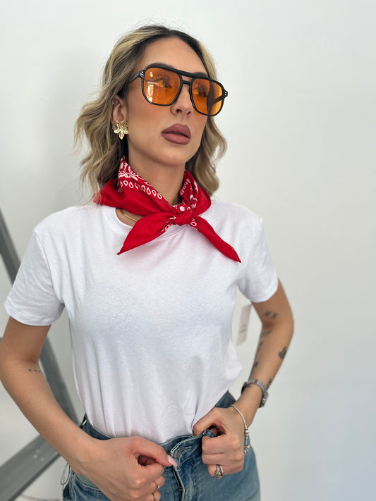 SHIRT BANDANA